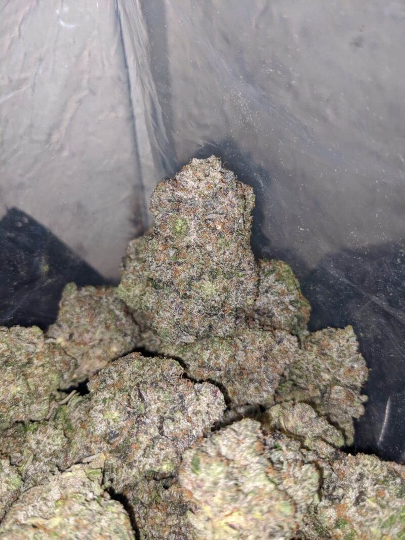 AK-47 - Image 6
