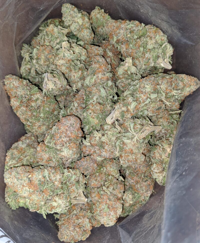 Alien Cookies #2 - Image 5