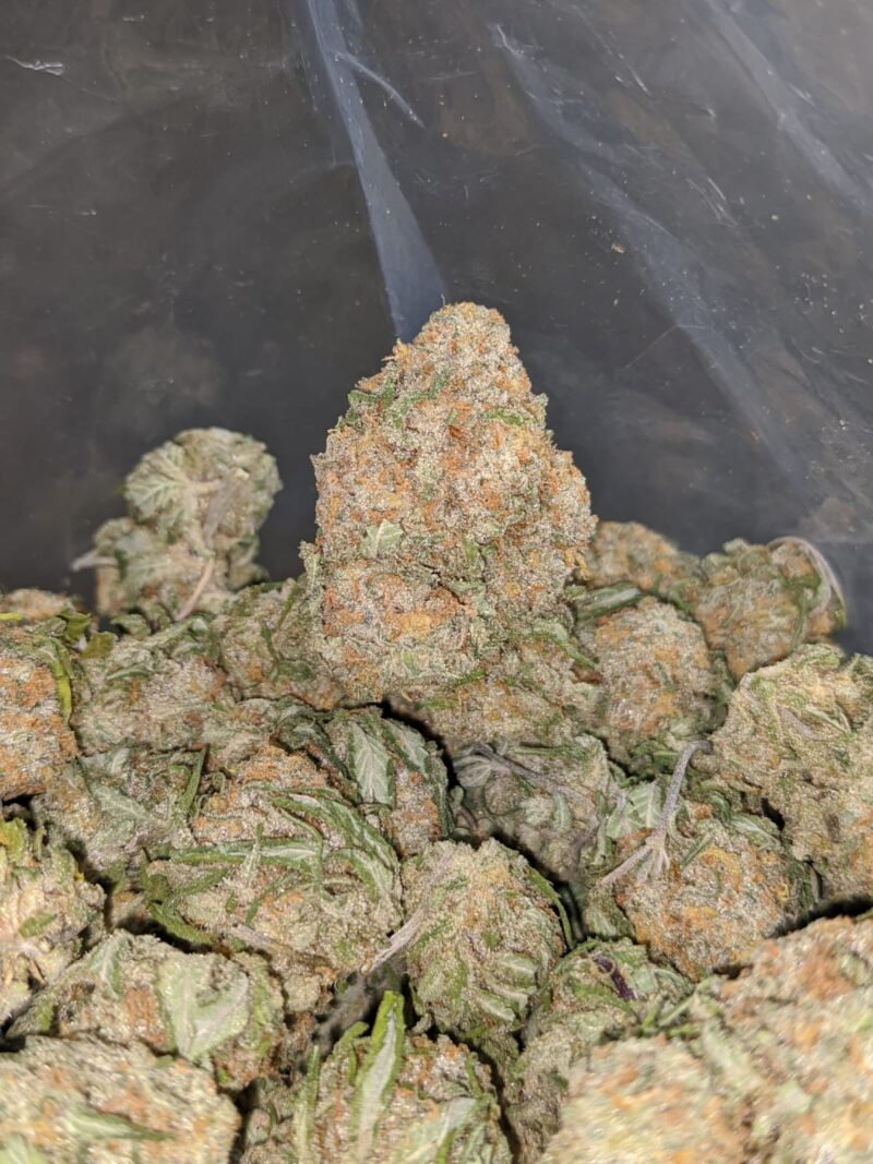 $ 57 Oz – Alien Cookies - Image 5