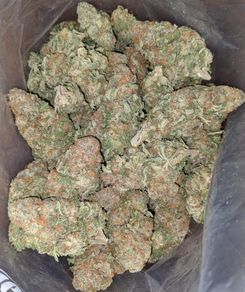 Alien Cookies #2 - Image 4