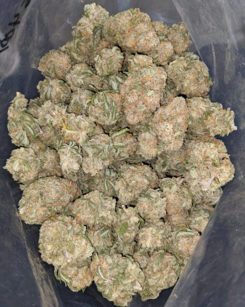 $ 57 Oz – Alien Cookies - Image 7