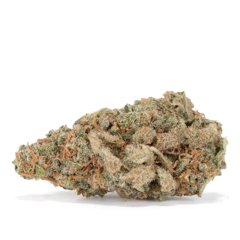 Alien Cookies