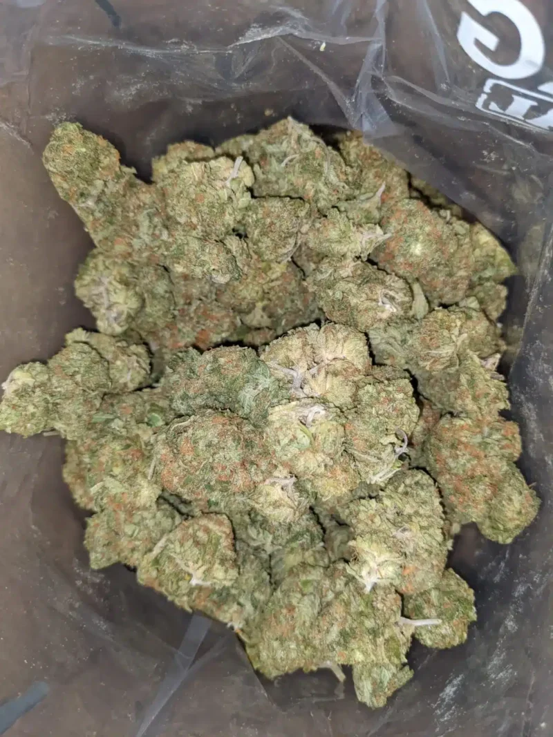 Amnesia Haze - Image 2