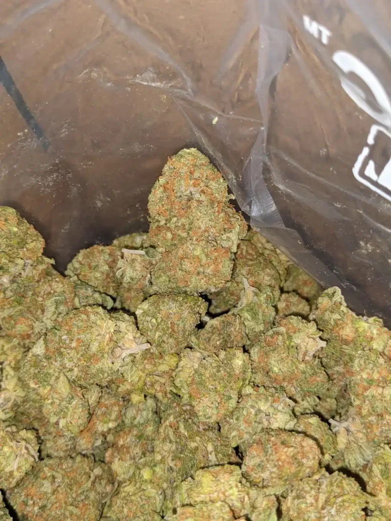 Amnesia Haze - Image 4