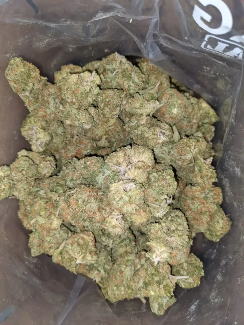 Amnesia Haze