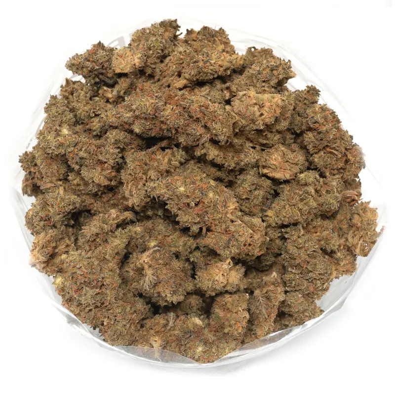 Hindu Kush