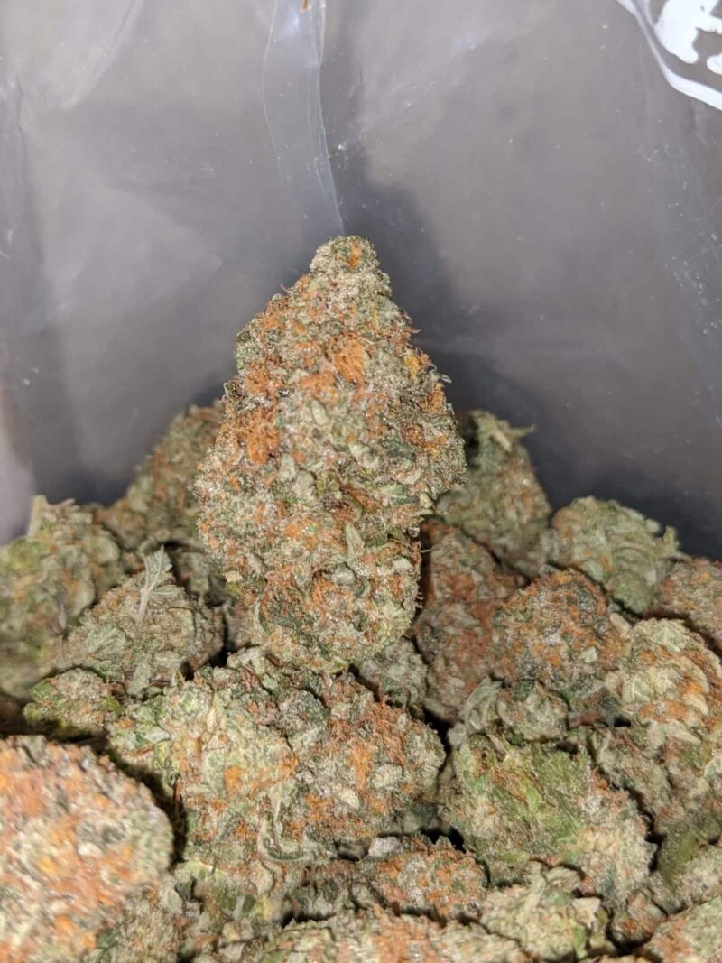 Banana Kush - Image 7