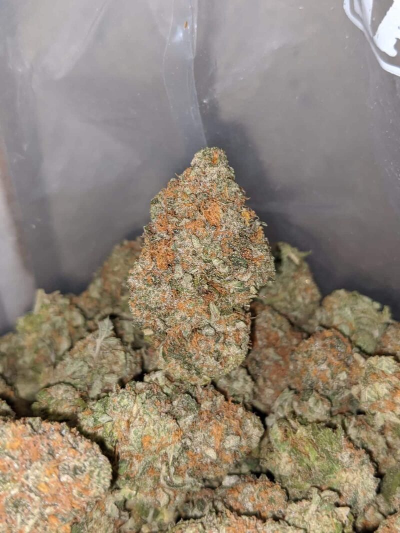 Banana Kush - Image 6