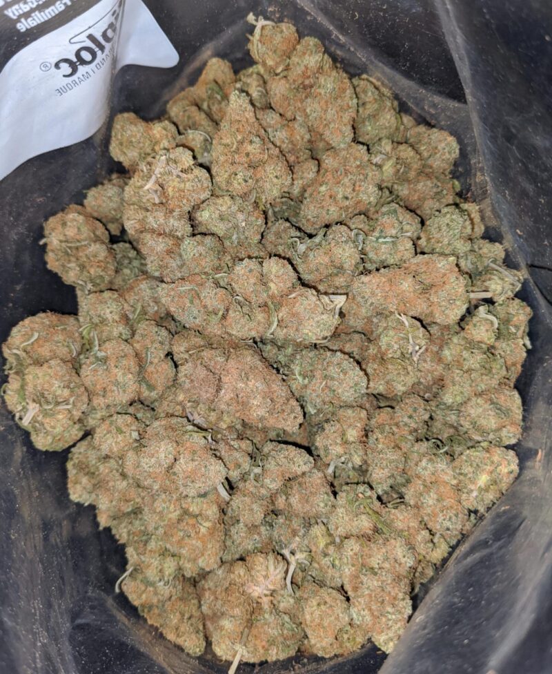 Berry Gelato (Smalls) – *Deal Of The Day* - Image 4