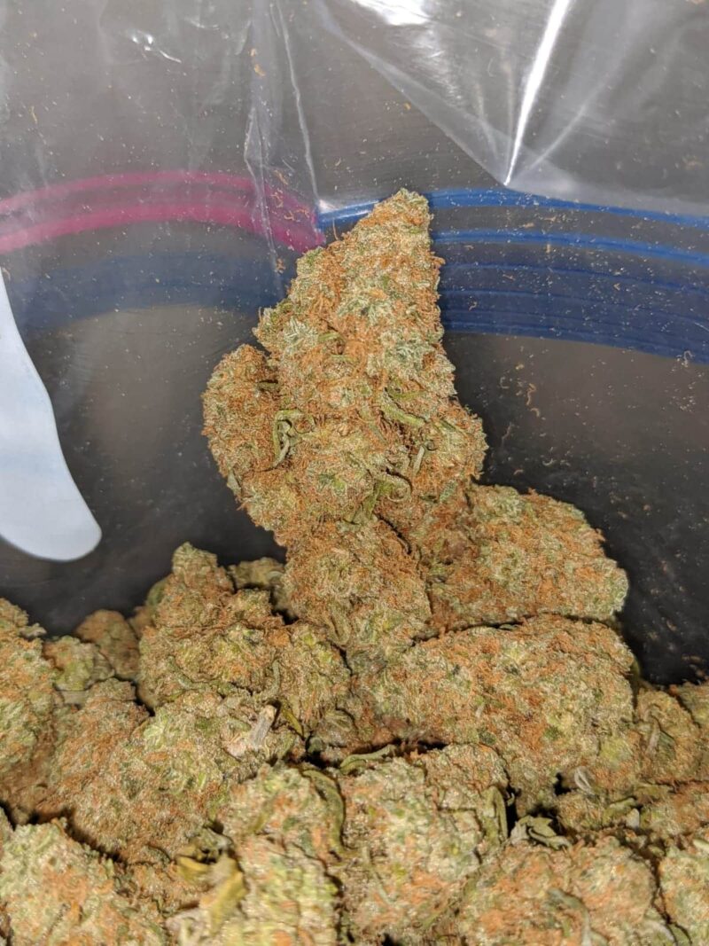 Berry Gelato (Smalls) – *Deal Of The Day* - Image 7