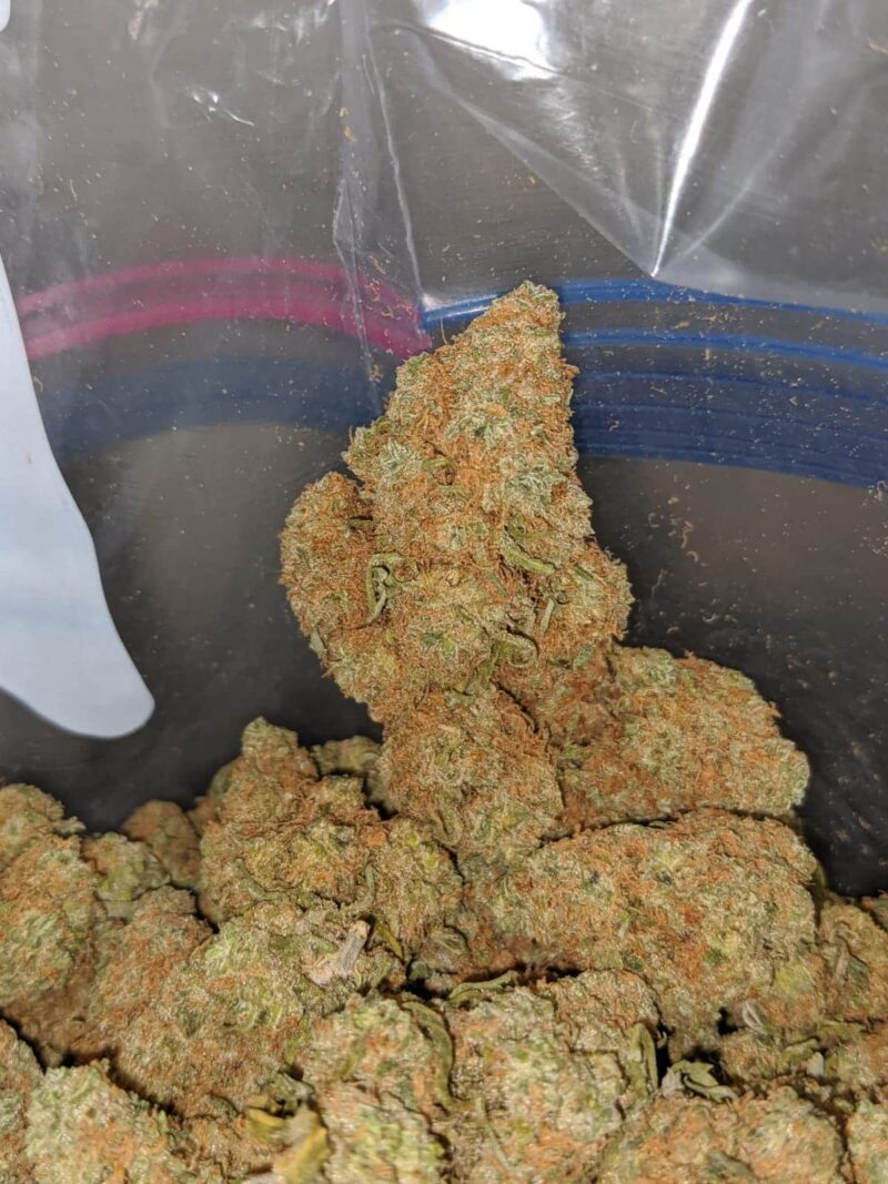 Berry Gelato (Smalls) – *Deal Of The Day* - Image 6