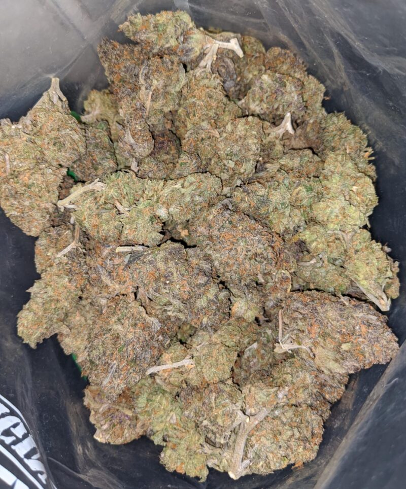 Purple Kandy - Image 6