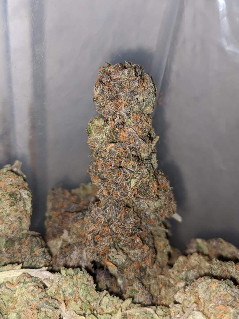 Purple Kandy - Image 7