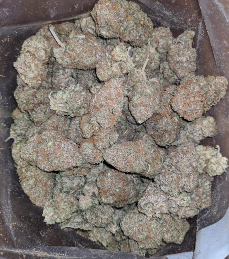 Biscotti Gelato - Image 5