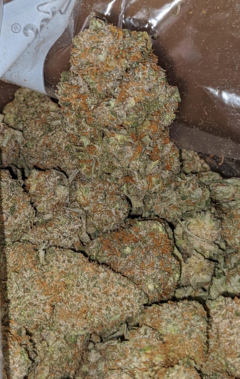 Biscotti Gelato - Image 7