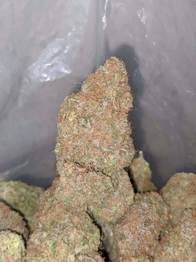 Black Cherry Punch - Image 7