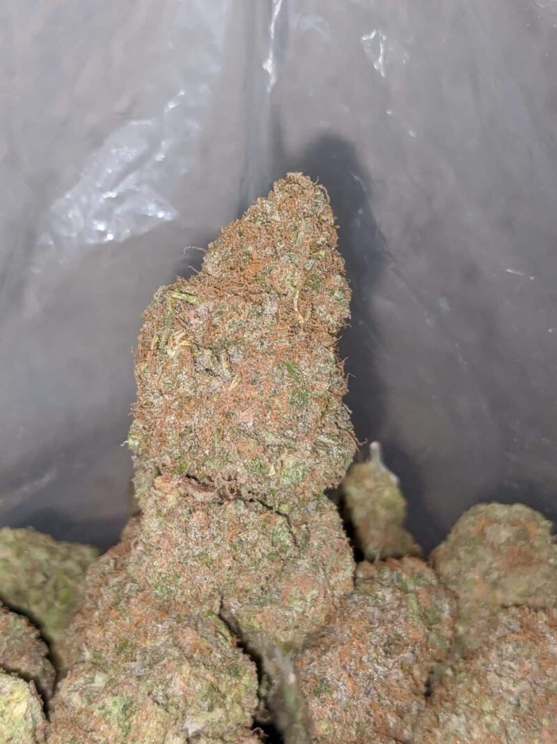 Black Cherry Punch - Image 6