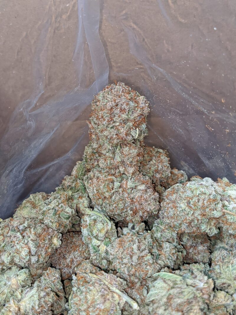 Black Cherry Soda - Image 7