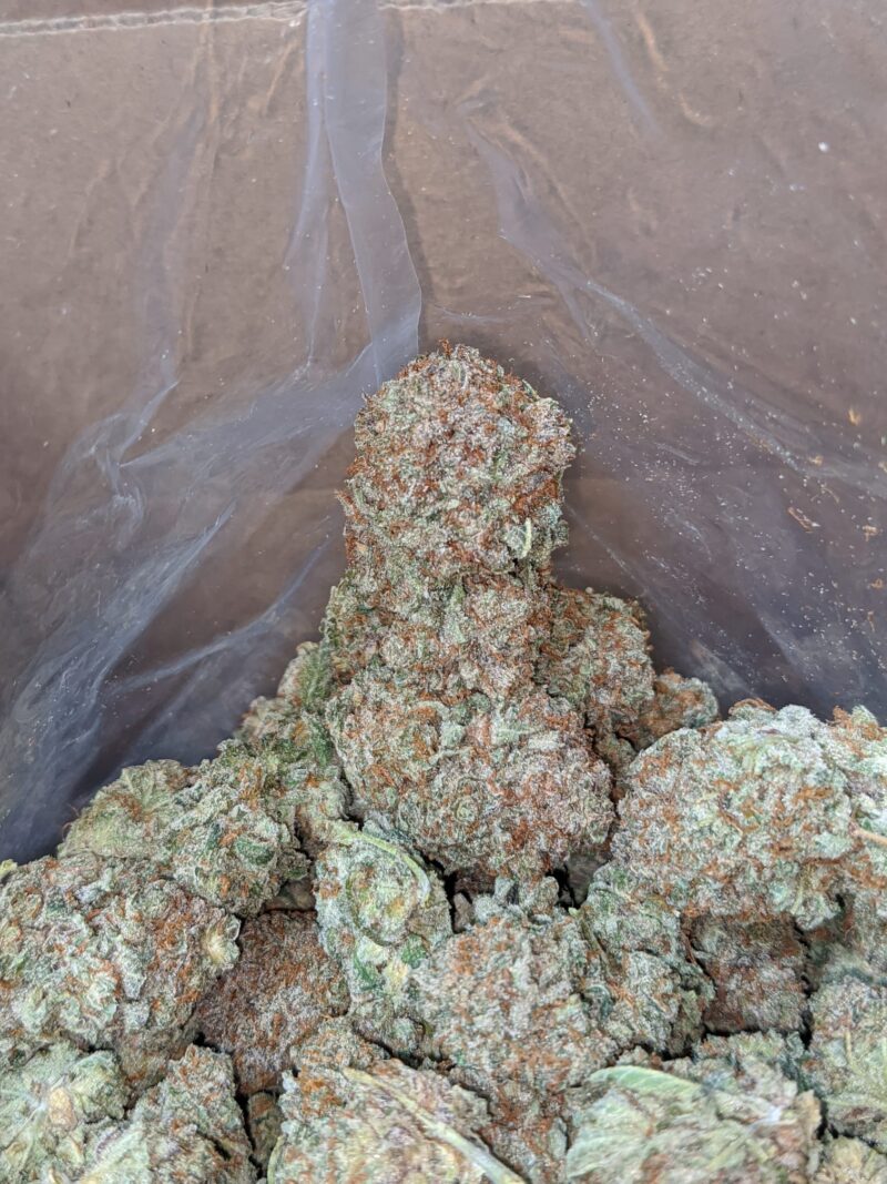 Black Cherry Soda - Image 6