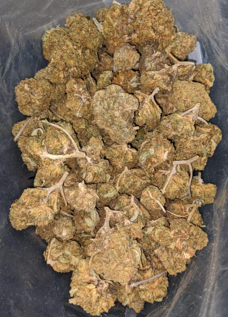 Black Dog Bulk Special - Image 6