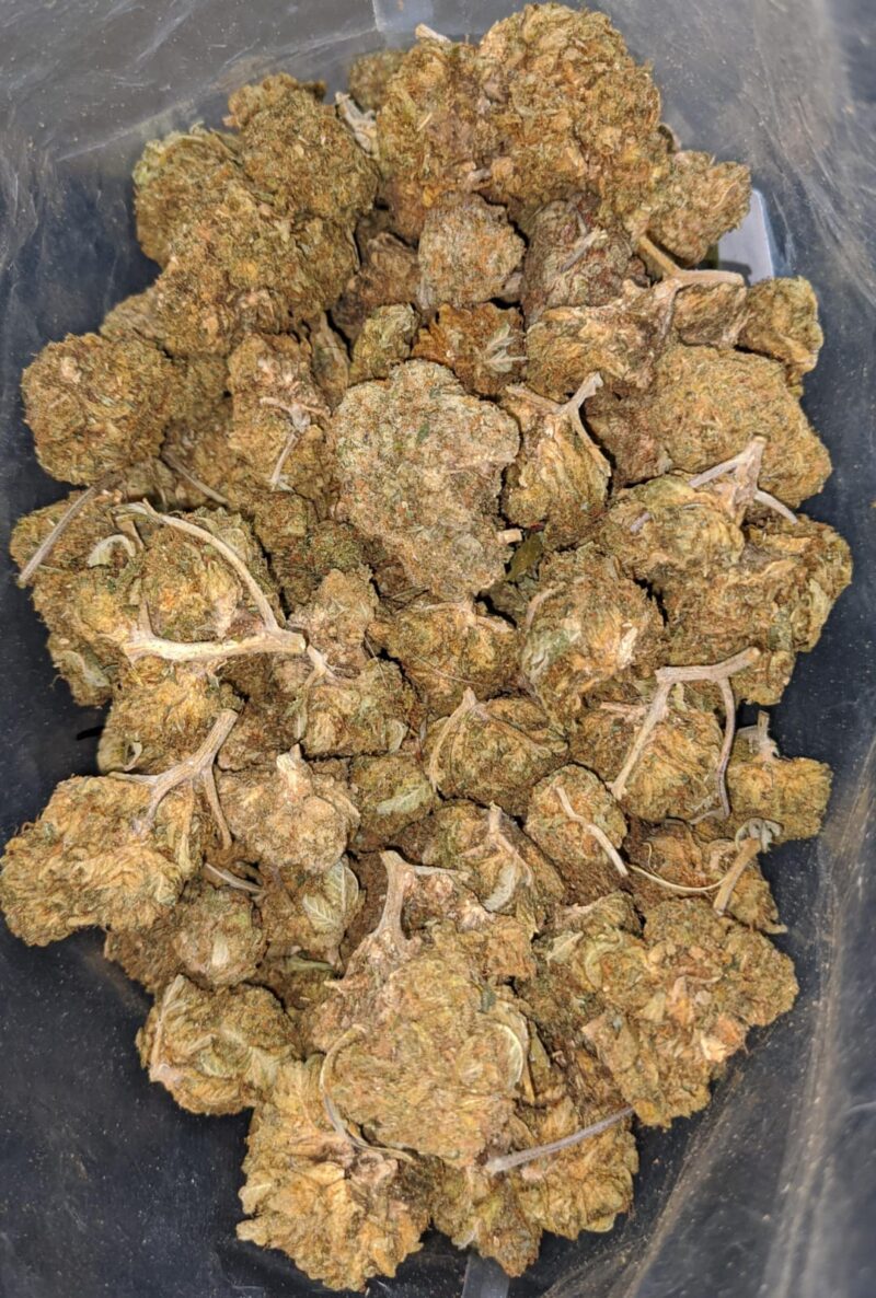 Black Dog Bulk Special - Image 5