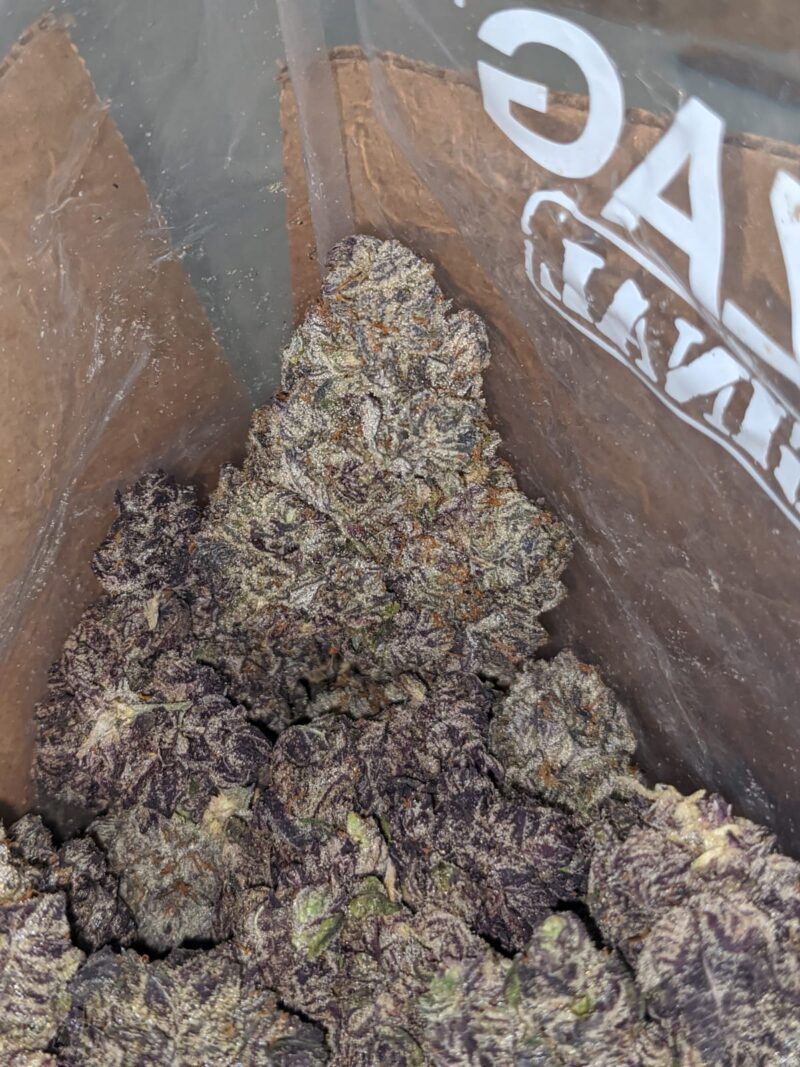 Black Truffle - Image 4