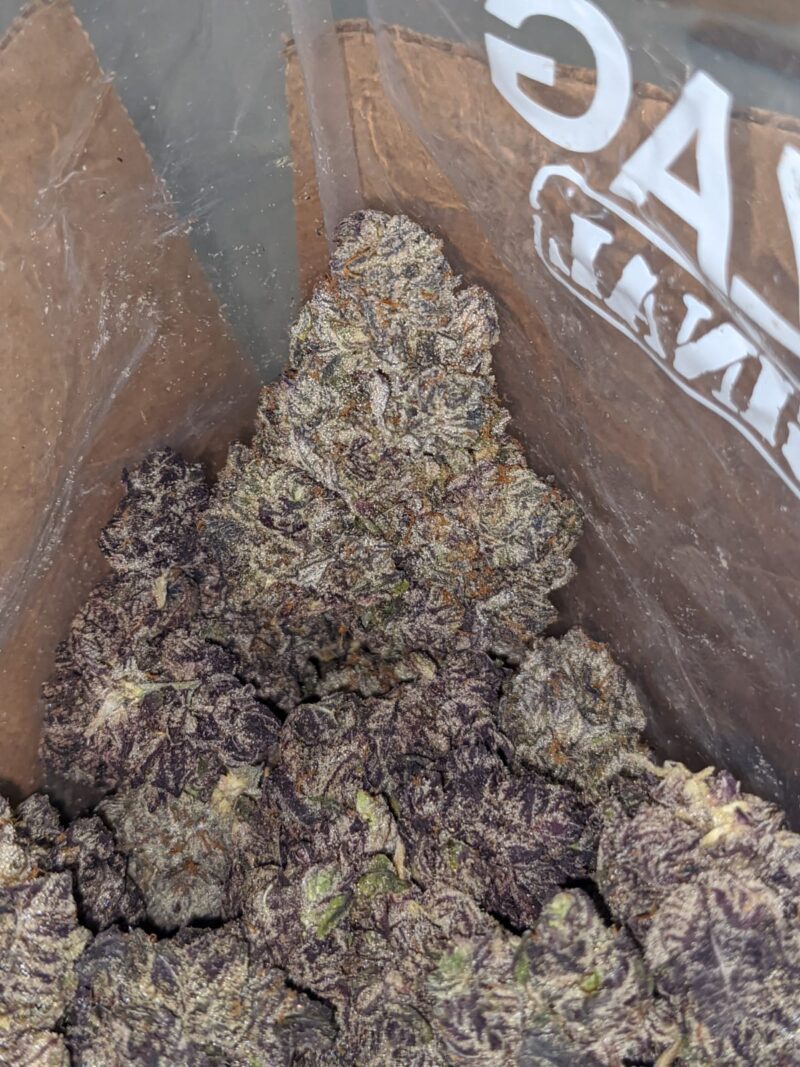 Black Truffle - Image 7