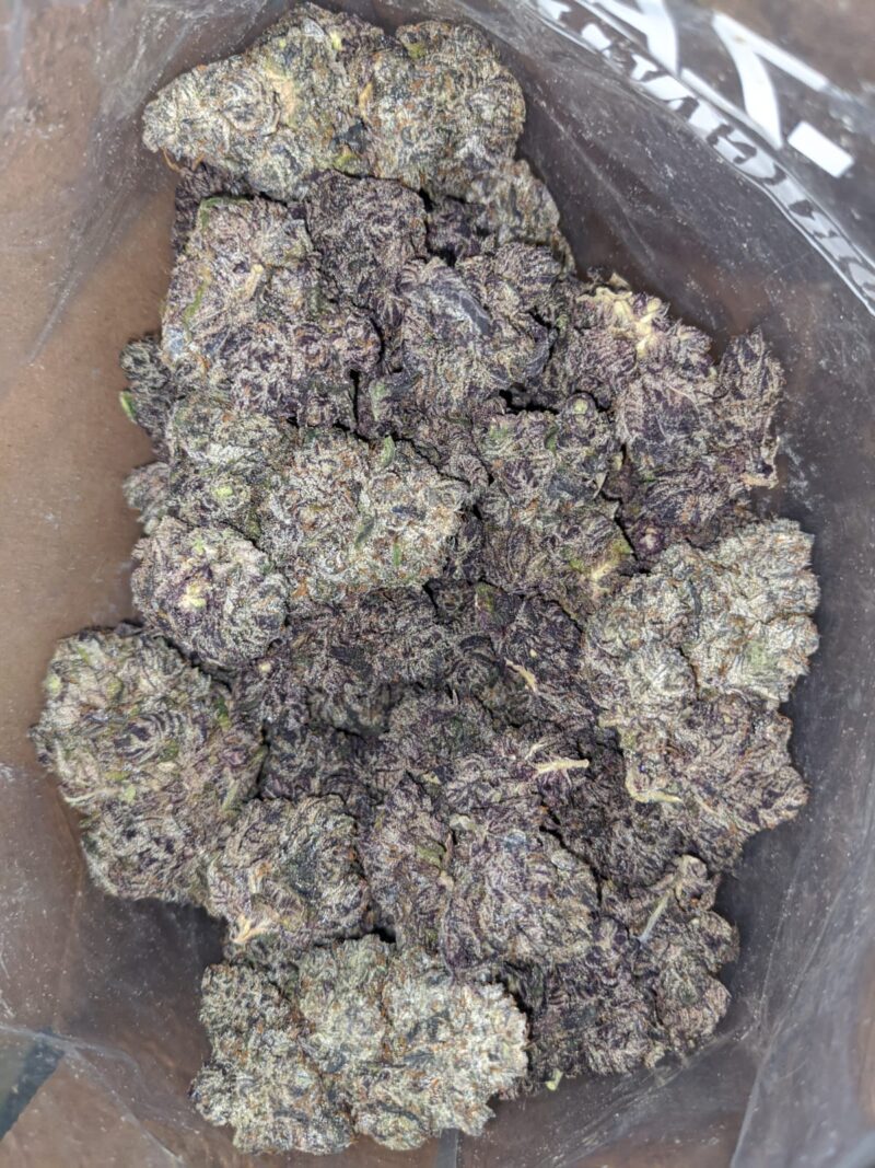 Black Truffle - Image 6