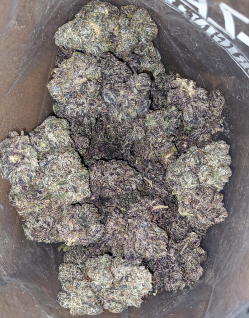 Black Truffle - Image 5