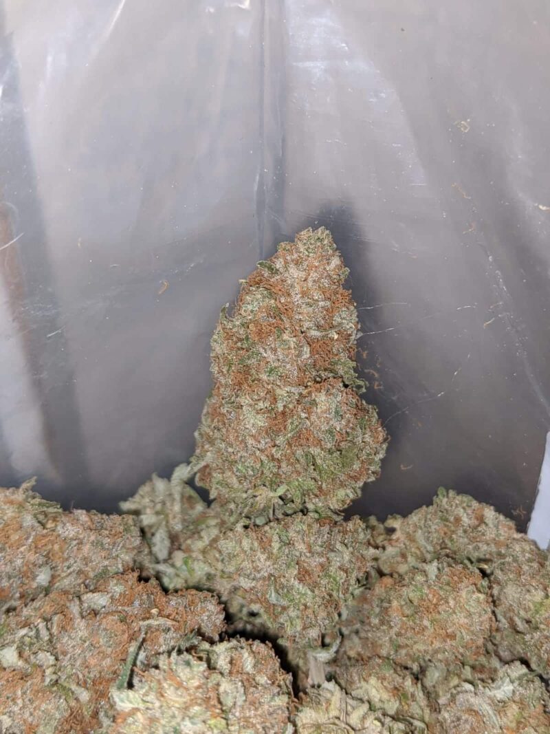 Blackberry Dream - Image 6