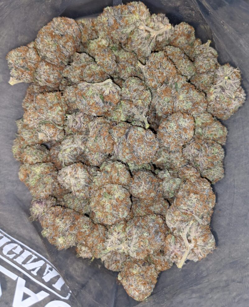 Blackberry x Blueberry - Image 6