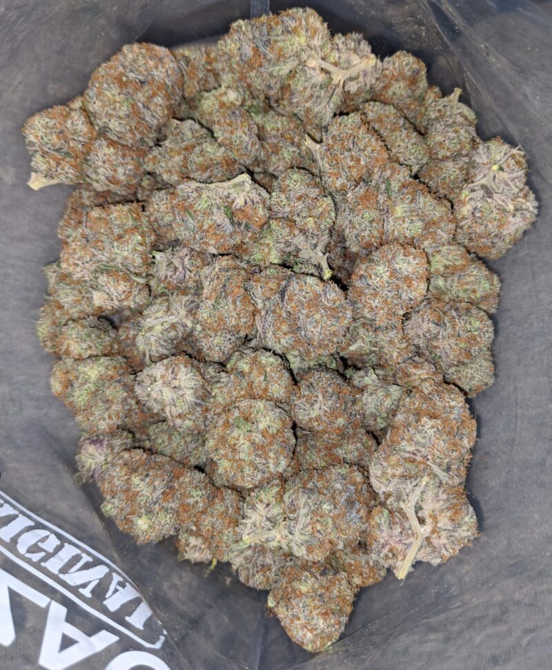 Blackberry x Blueberry - Image 5