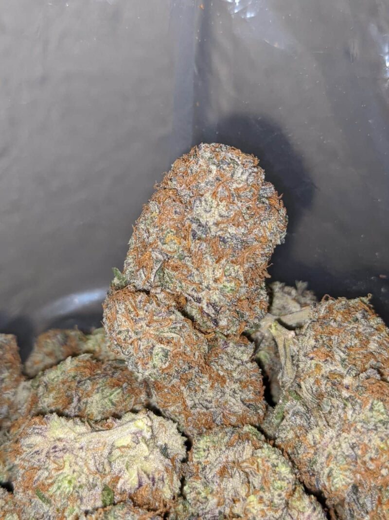 Blackberry x Blueberry - Image 4