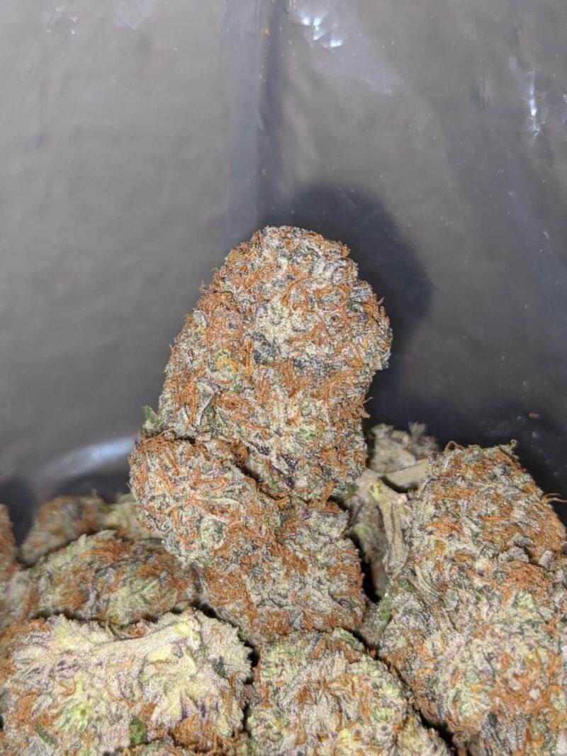 Blackberry x Blueberry - Image 7