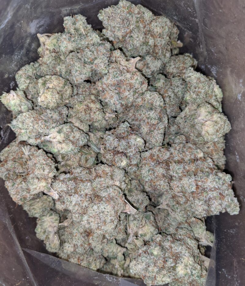 Blueberry Frost