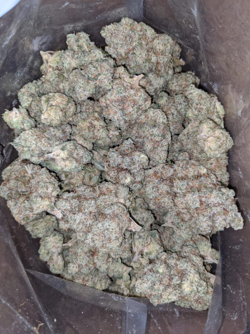 Blueberry Frost - Image 2