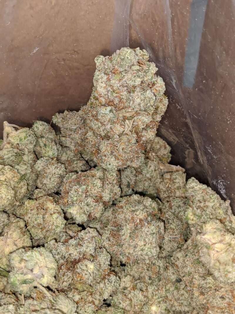 Blueberry Frost - Image 5