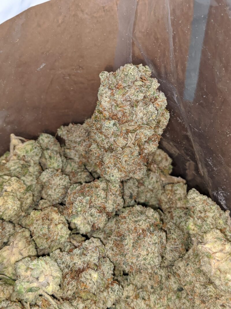 Blueberry Frost - Image 4