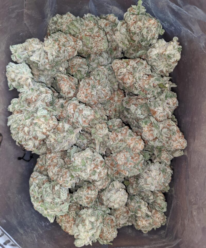 Blueberry YumYum