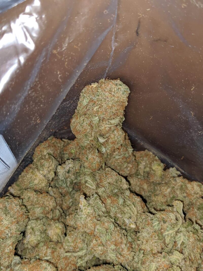 $ 56 Oz – Blue Hawaiian - Image 7