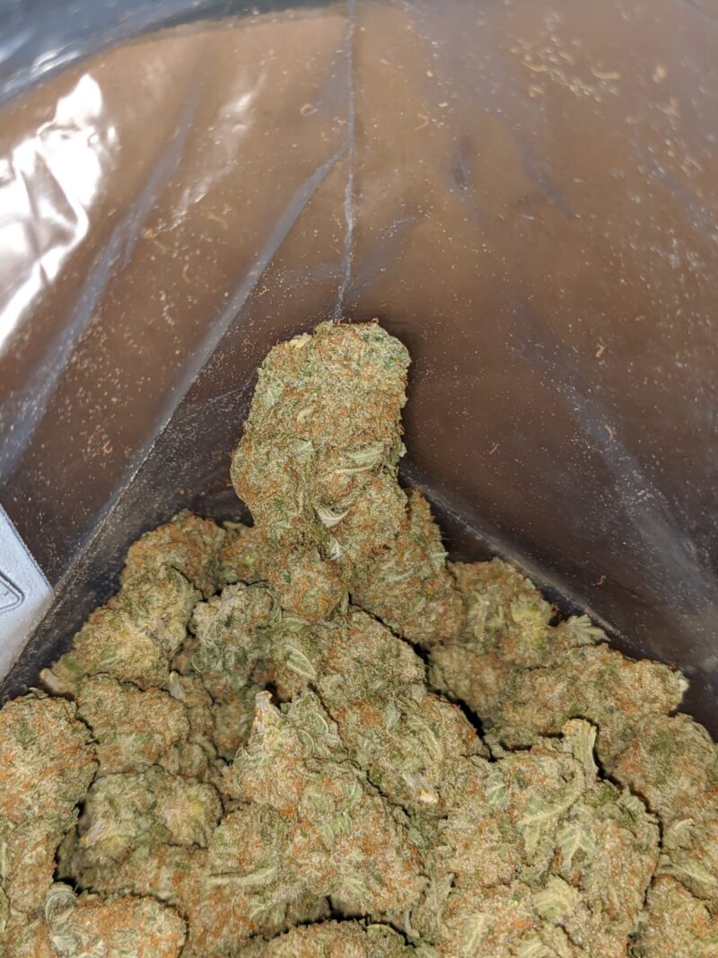 $ 56 Oz – Blue Hawaiian - Image 6