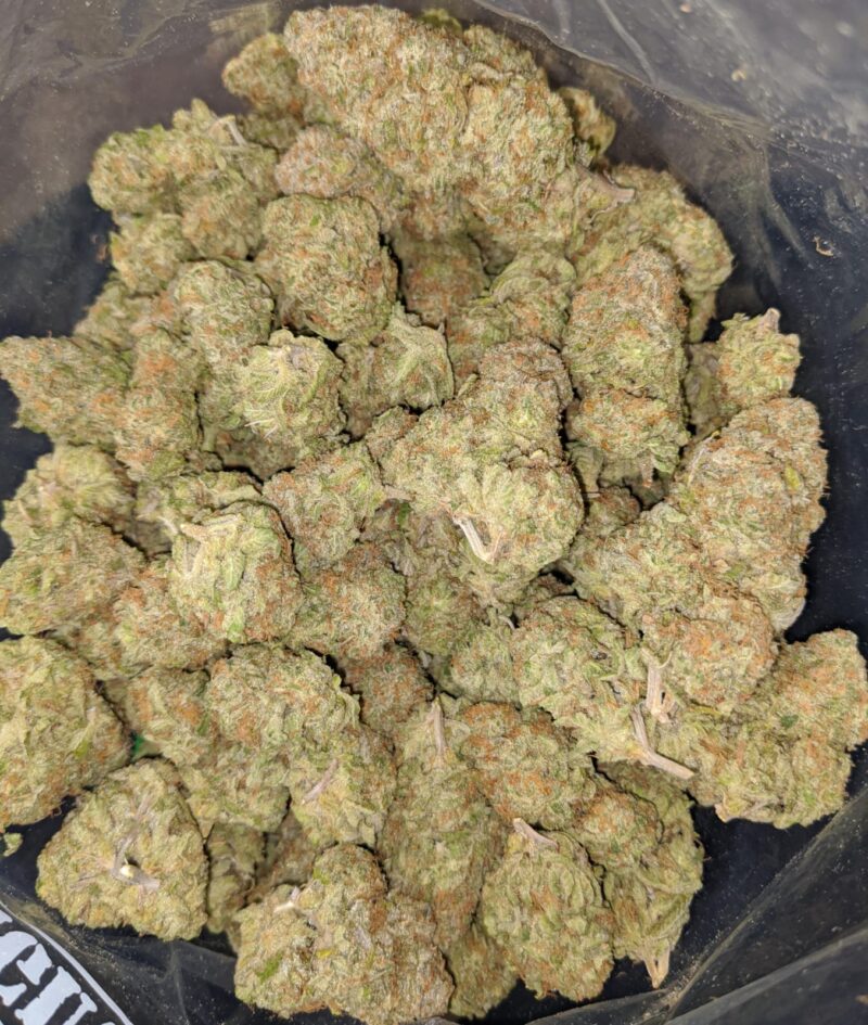 Brainstorm Haze - Image 4