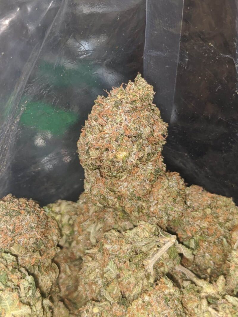 $ 50 Oz – Bubba Kush - Image 6