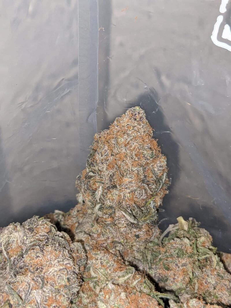 Bubble Gum - Image 7
