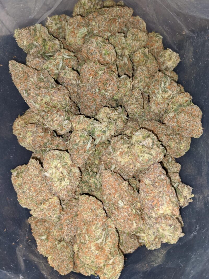 Bubblegum Gelato - Image 5