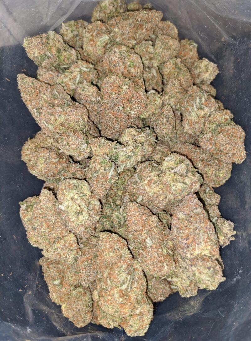 Bubblegum Gelato - Image 4
