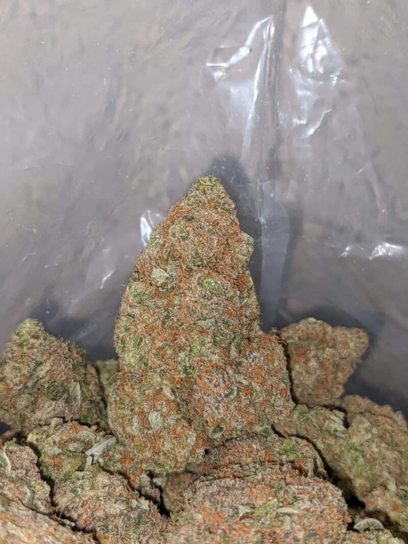 Bubblegum Gelato - Image 7