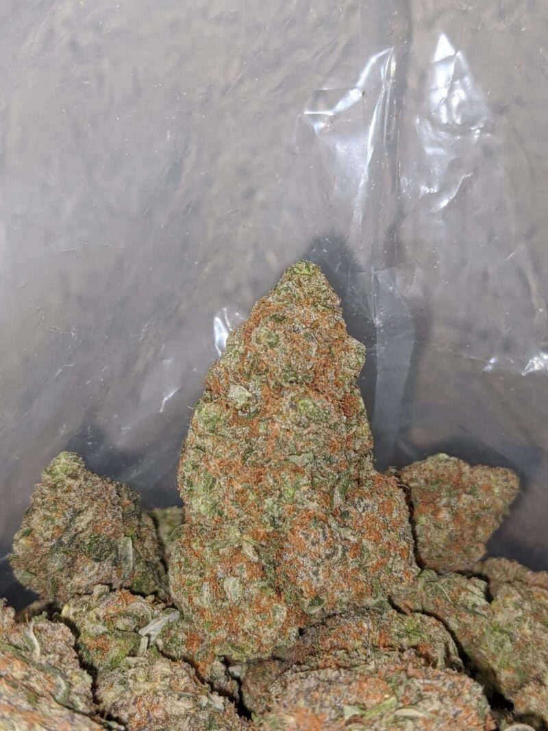 Bubblegum Gelato - Image 6