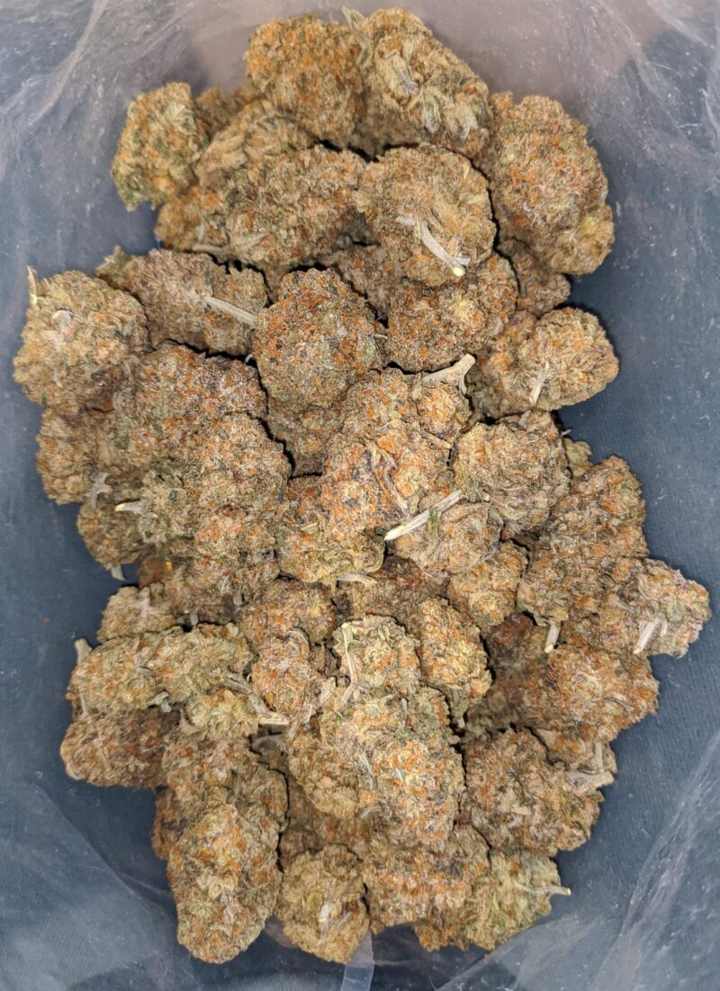 Cactus Breath - Image 5