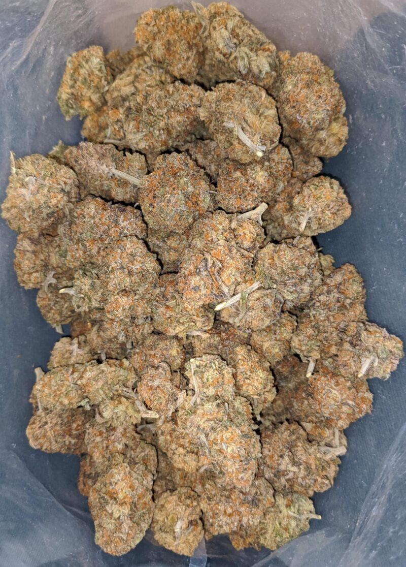 Cactus Breath - Image 4